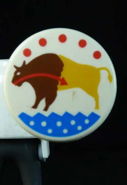 Shield_0170 Indian buffalo shield
