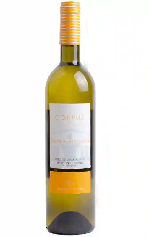 Corpus Blanco Selección