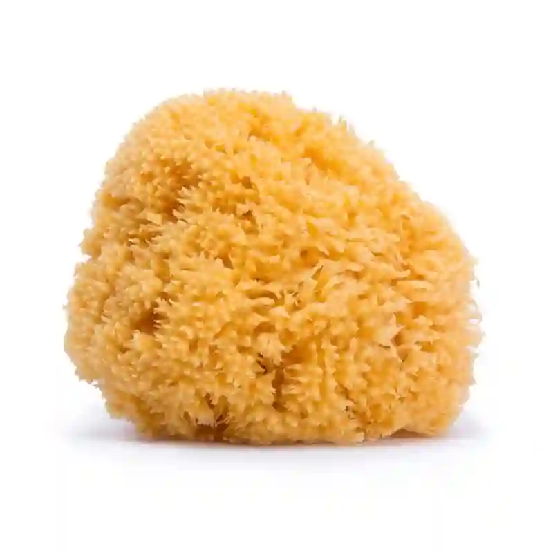 SUAVINEX Sponge Natural Bathroom Children