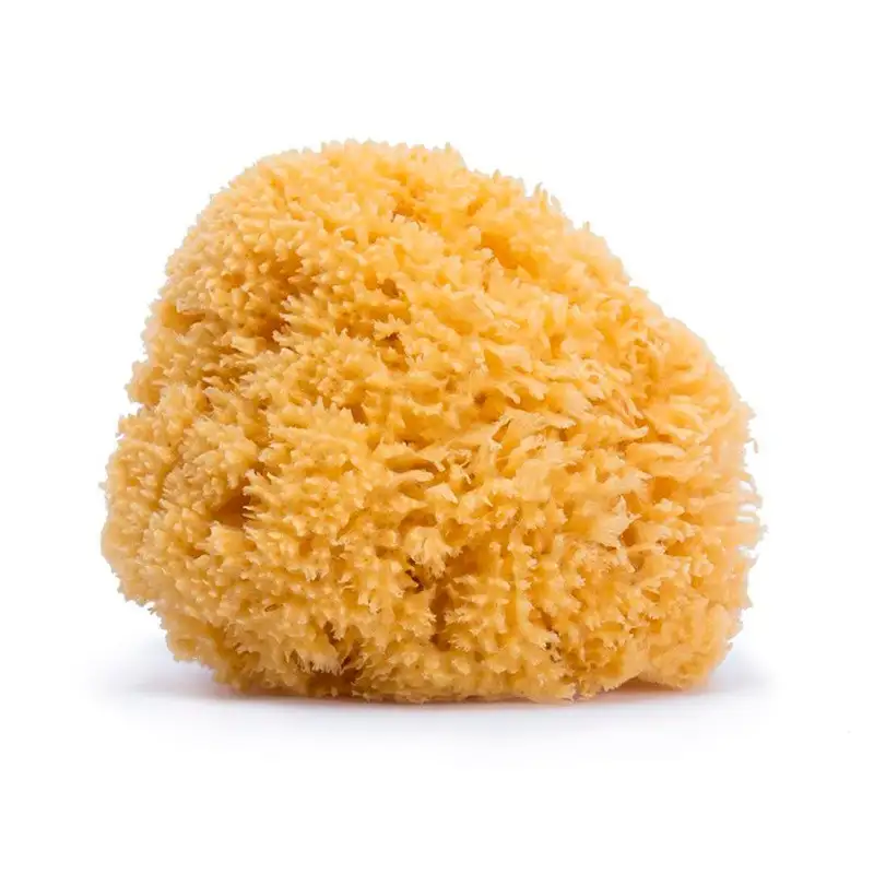SUAVINEX Sponge Natural Bathroom Children