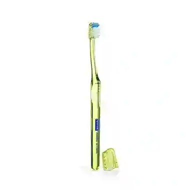 Medium Access Vitis Brush