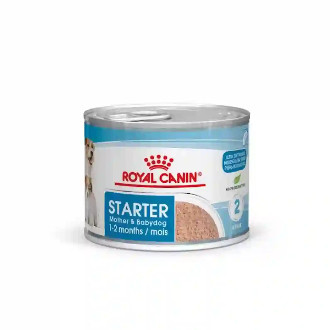 Royal Canin húmedo STARTER Mother & Babydog – Ultra soft mousse 195g