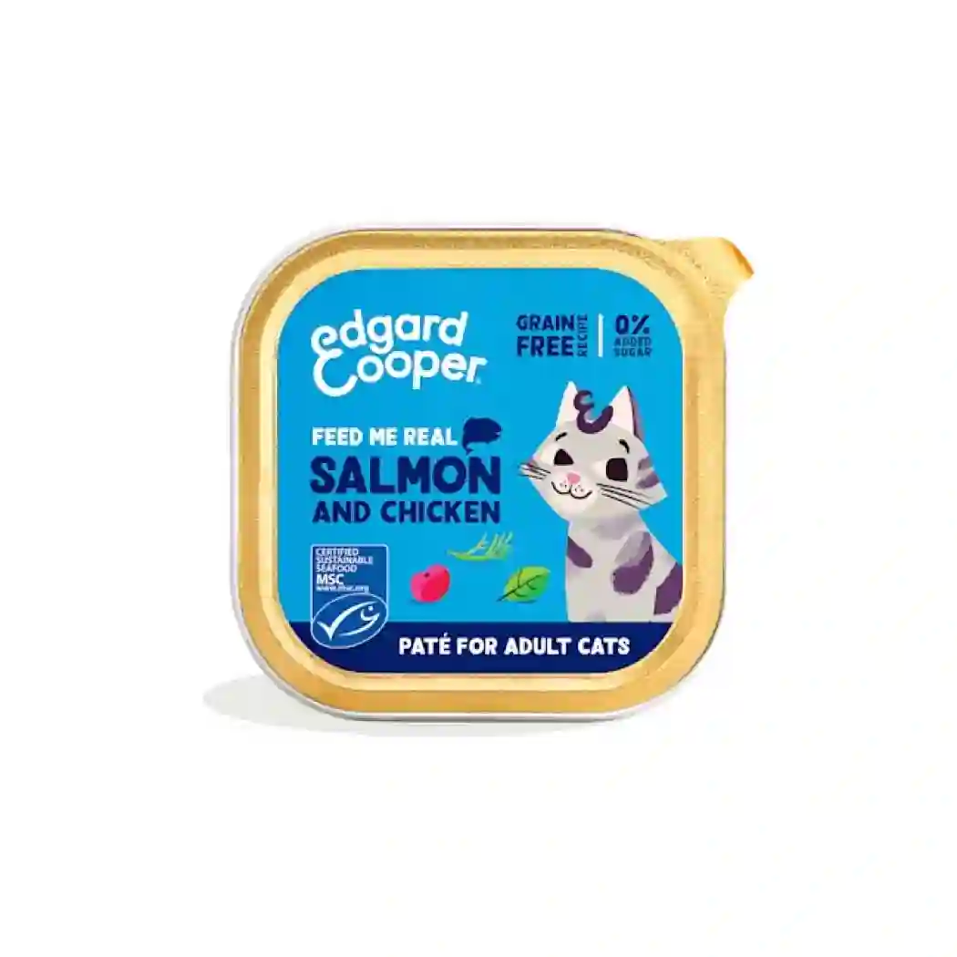 Edgard & Cooper Cat Tarrina with salmon and chicken in pate