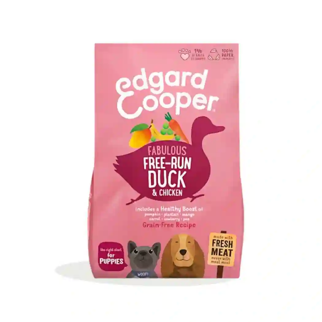 Edgard & Cooper Pato and Ecological Corral Chicken (puppies)