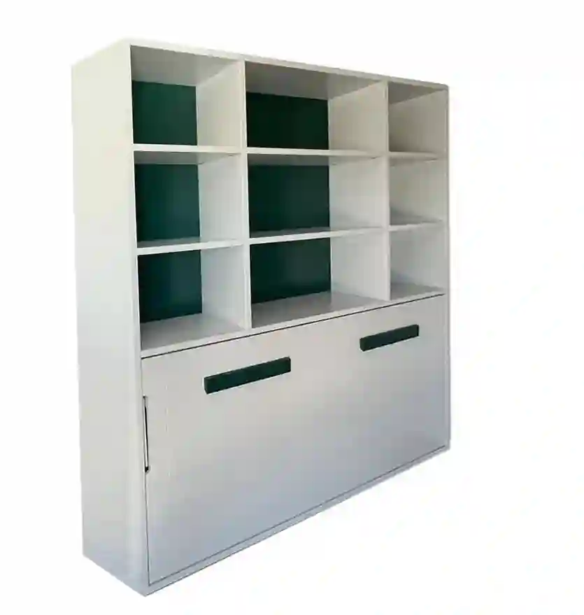 Horizontal folding bed with bookstore