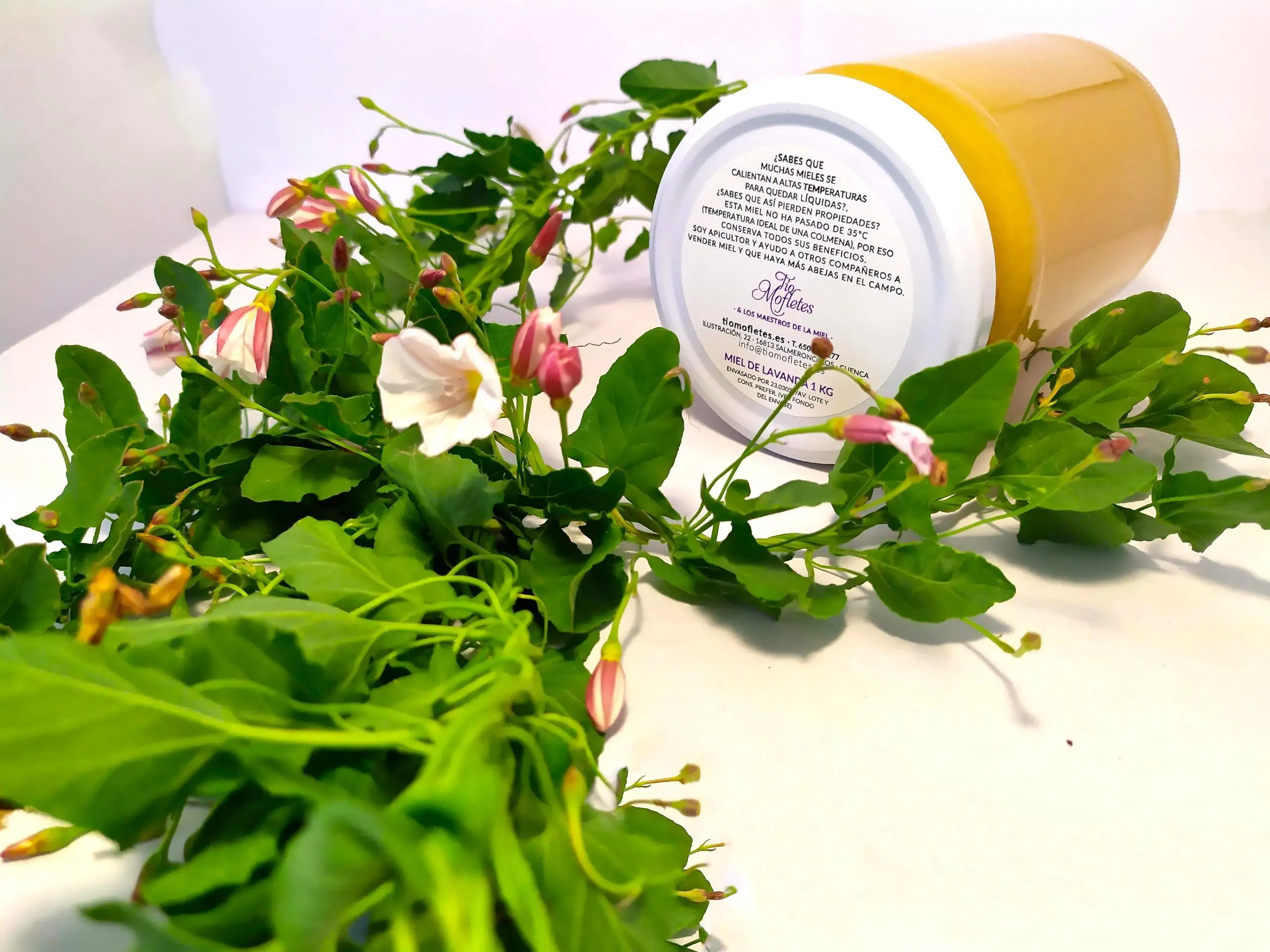 1Kg lavender or splende honey - Uncle mofletes