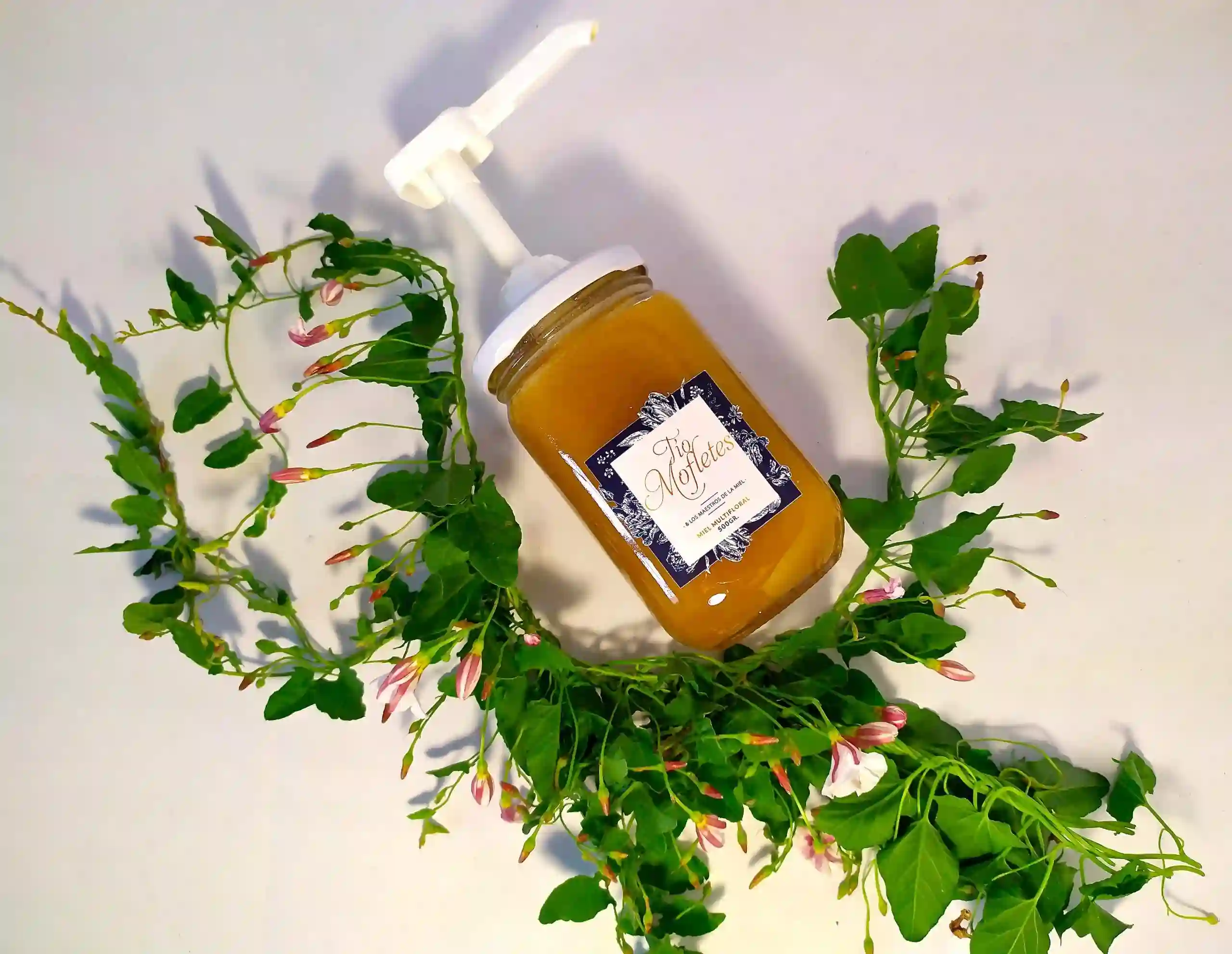 Tarro with forest honey anti -dosing 500gr - Uncle mofletes