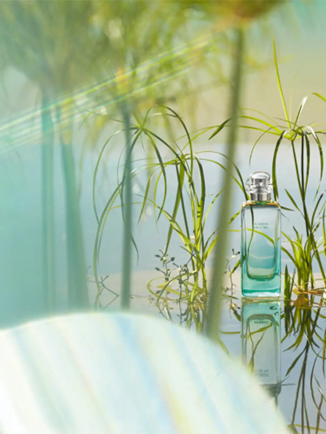 Un Jardin Sur Le Nil - Imagen 2