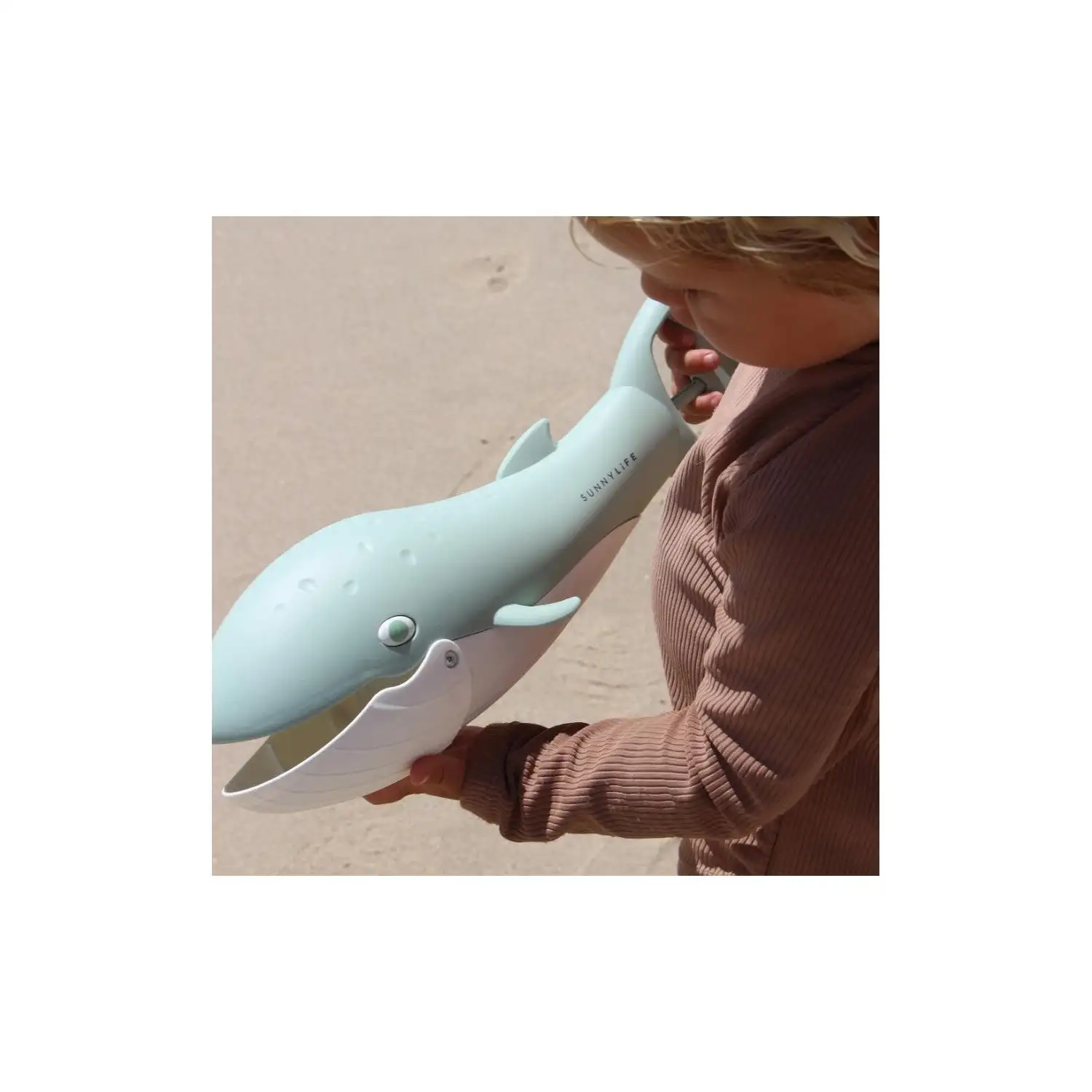 Pinza de Ballena Verde