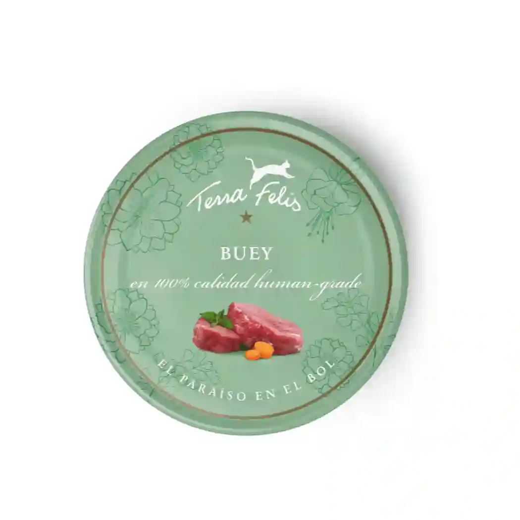 Terra Felis Gato Adulto Buey 80g