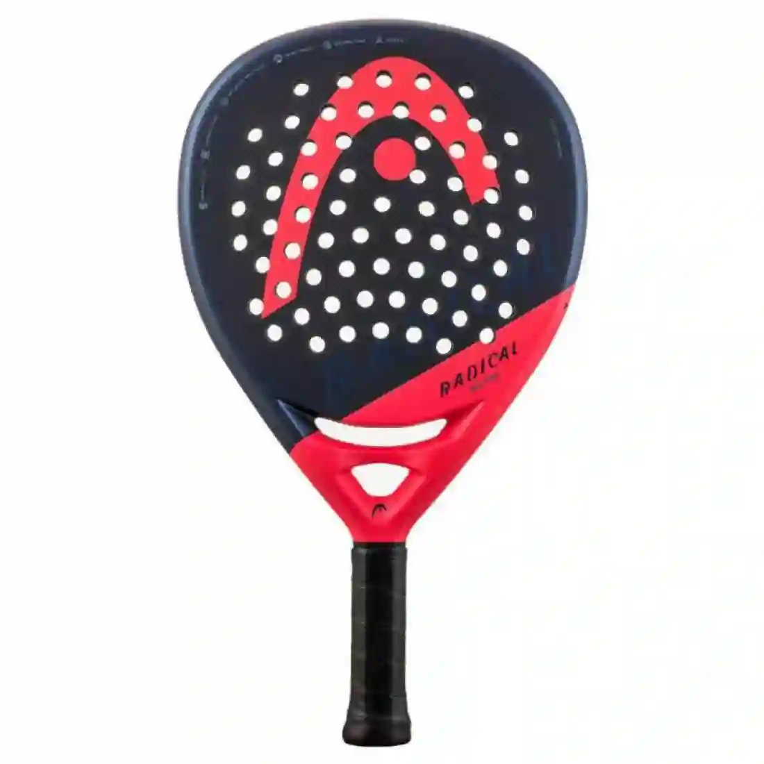 Pala Head Radical Motion 2024 | Head