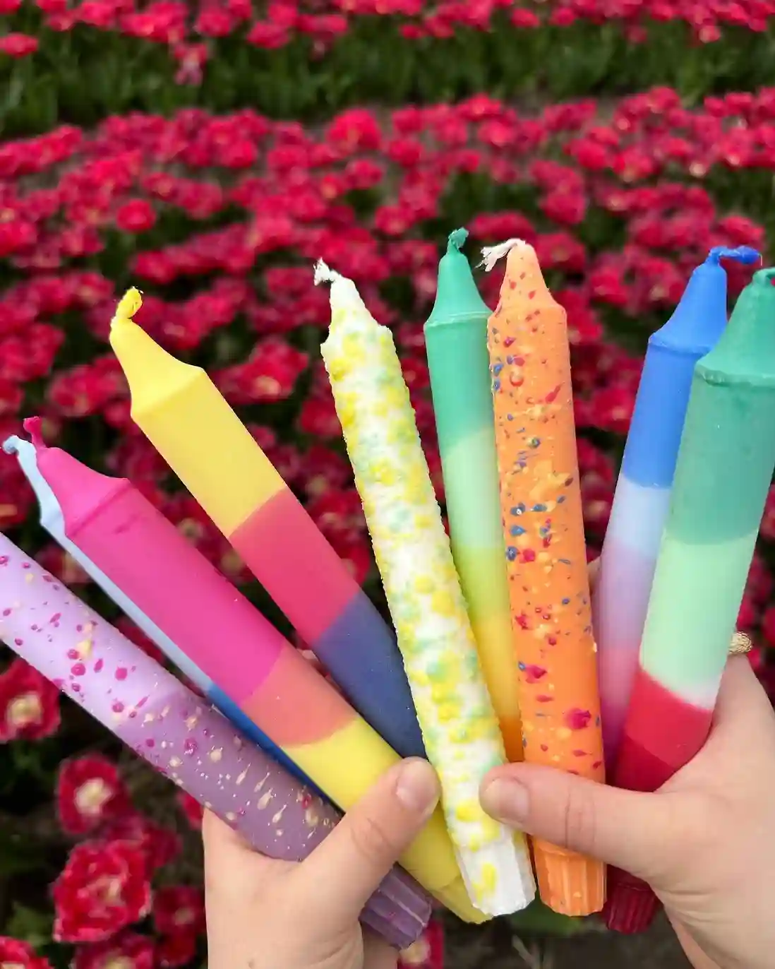 VELA CONFETTI / SUMMER VIBES / NORDTRICE