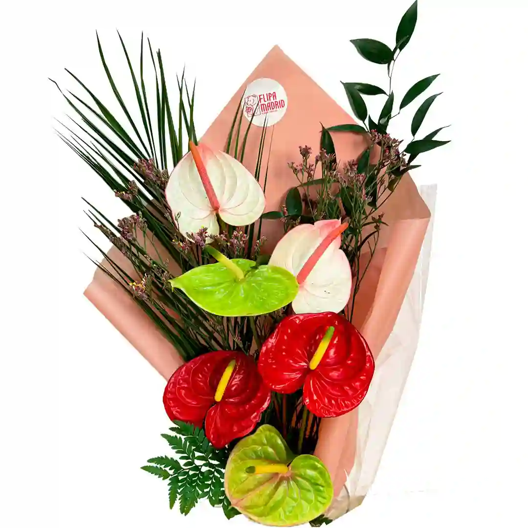 Ramo con 6 flores de Anturio