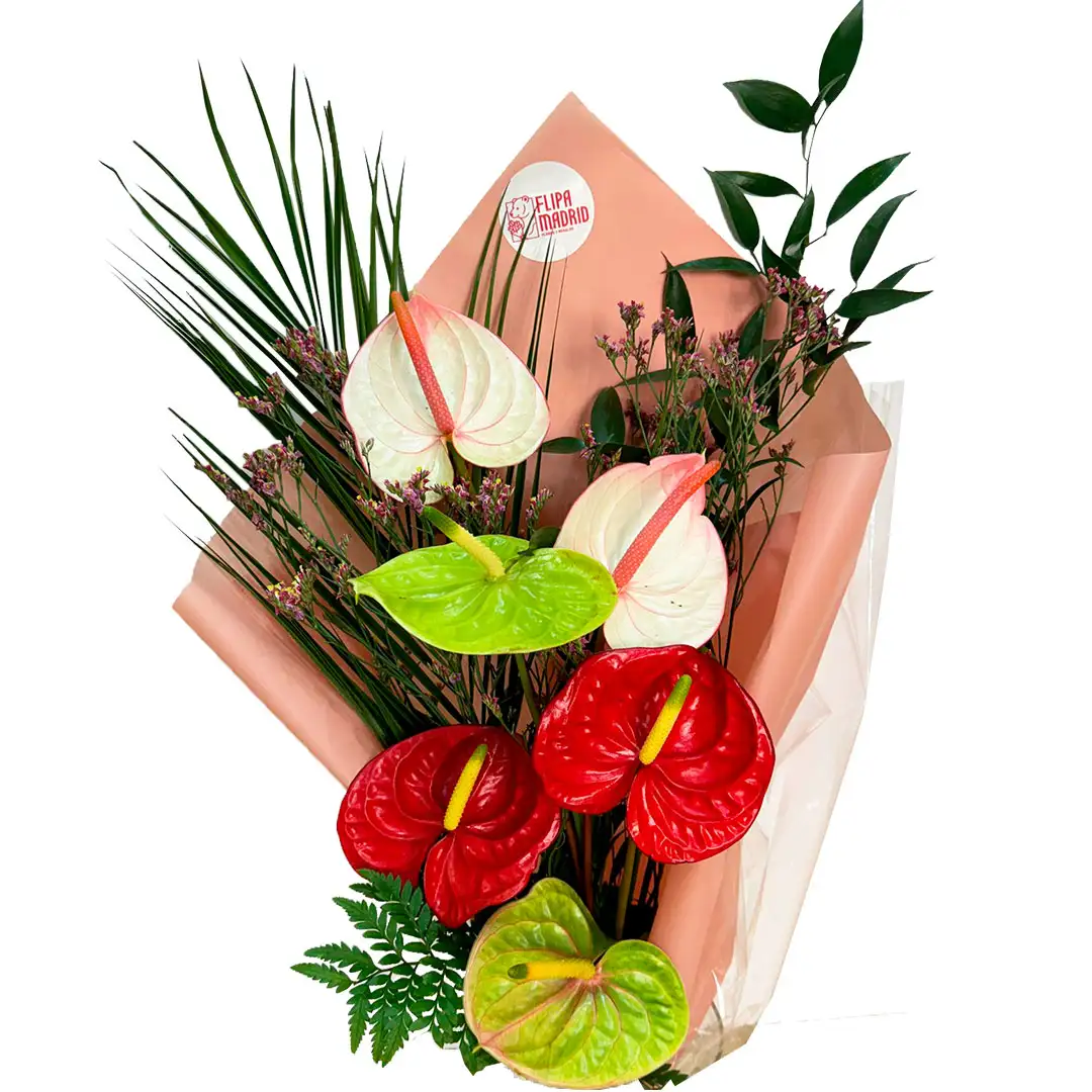 Ramo con 6 flores de Anturio