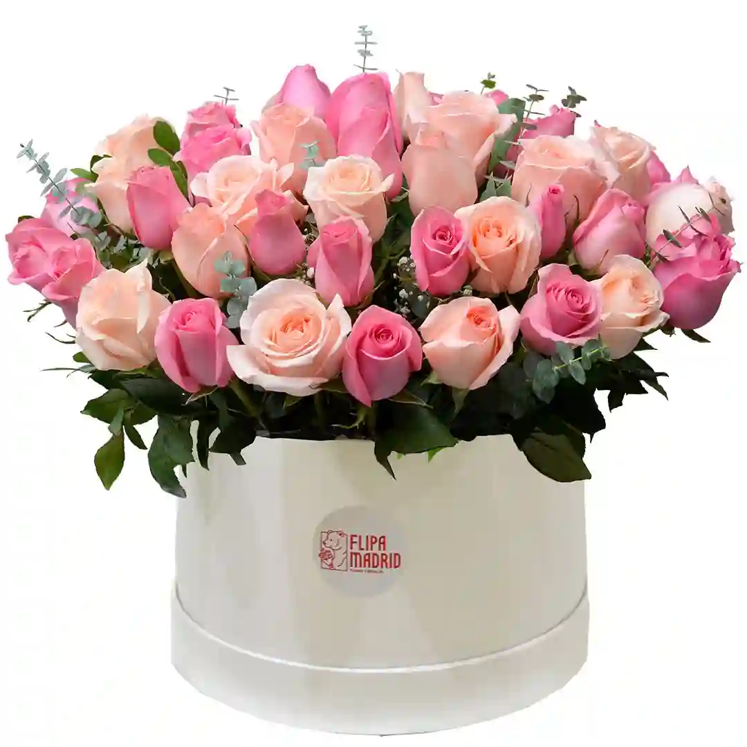 Box con 50 rosas Barbie