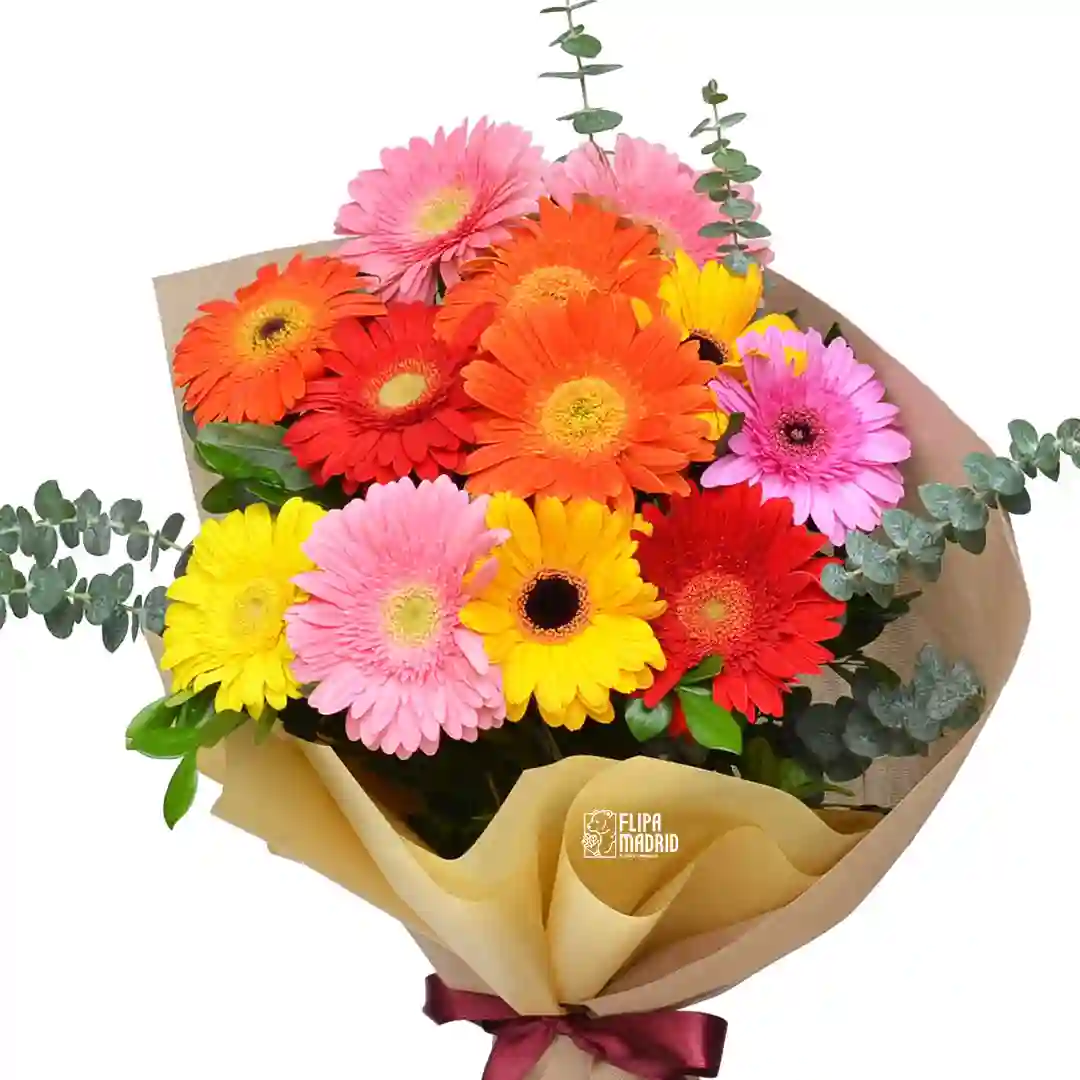 Ramo de 10 Gerberas multicolor