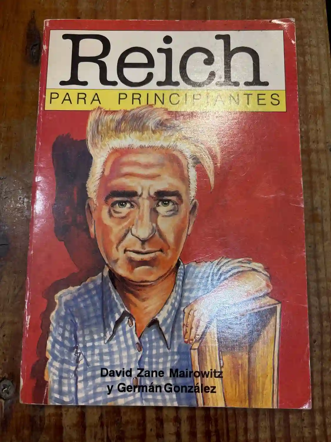 Reich para principiantes / Reich for Beginners (Spanish Edition) TRSAA