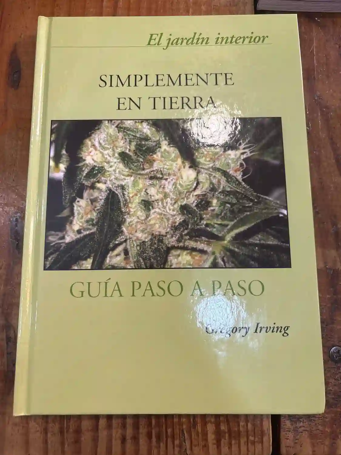 Simplemente en tierra: El jardin interior