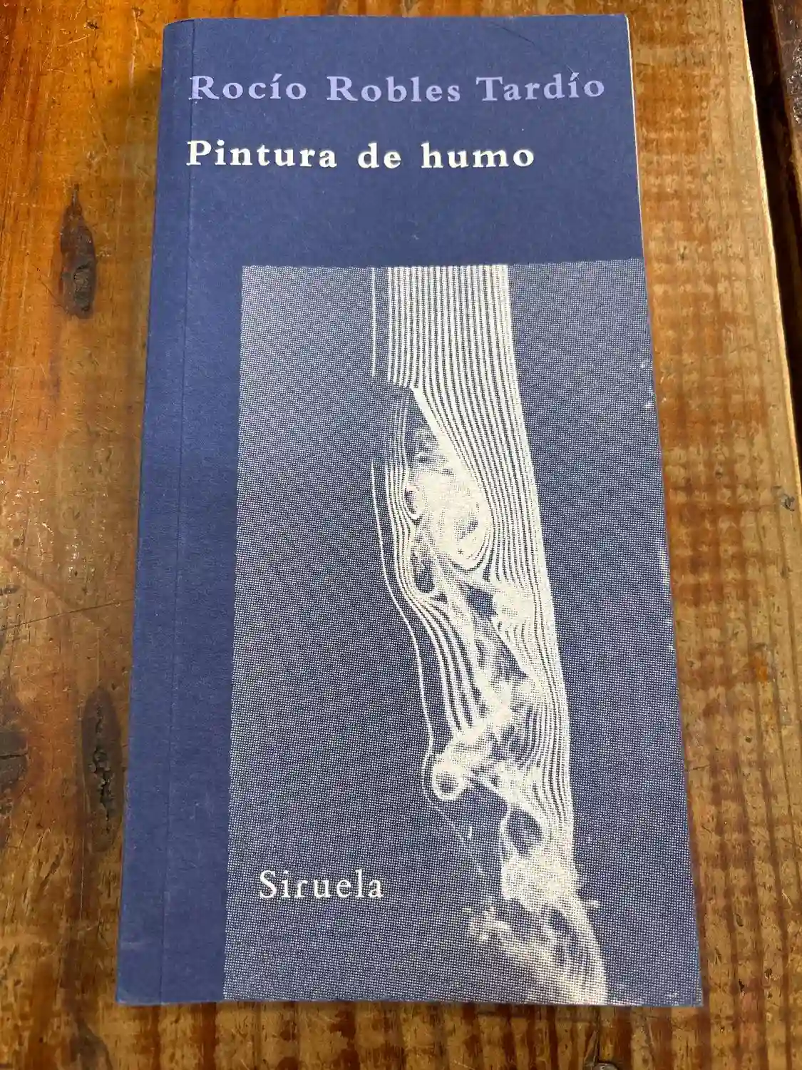 Pintura de humo: Trenes y estaciones en los orígenes del arte moderno (Spanish Edition)