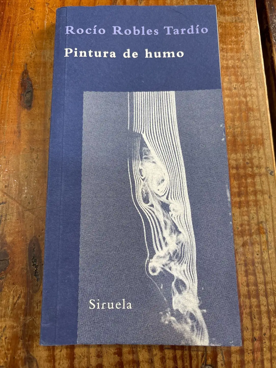 Pintura de humo: Trenes y estaciones en los orígenes del arte moderno (Spanish Edition)
