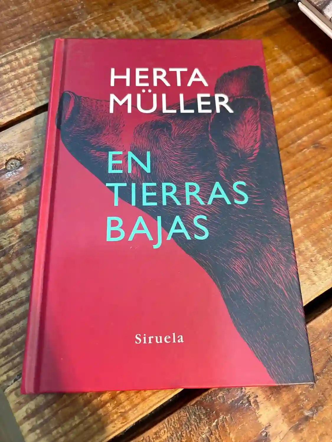 En tierras bajas (Libros Del Tiempo/ the Books of Time) (Spanish Edition)