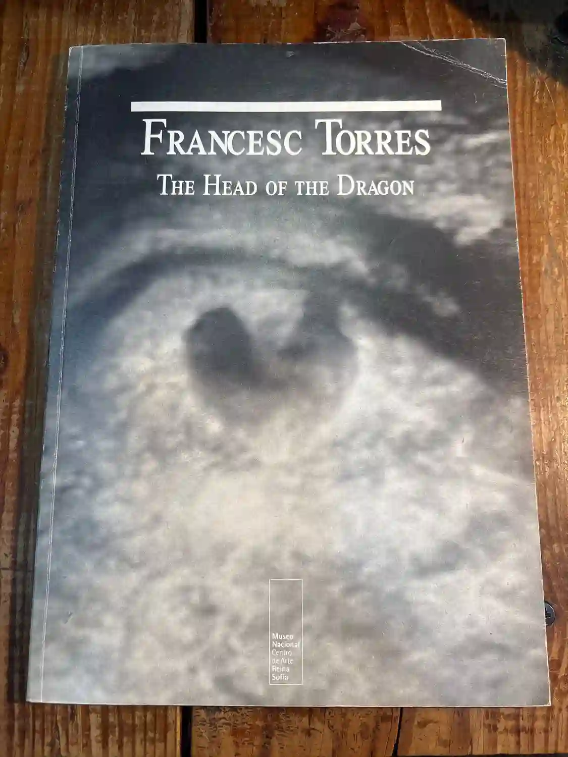 Francesc Torres: The Head of the Dragon TRSA