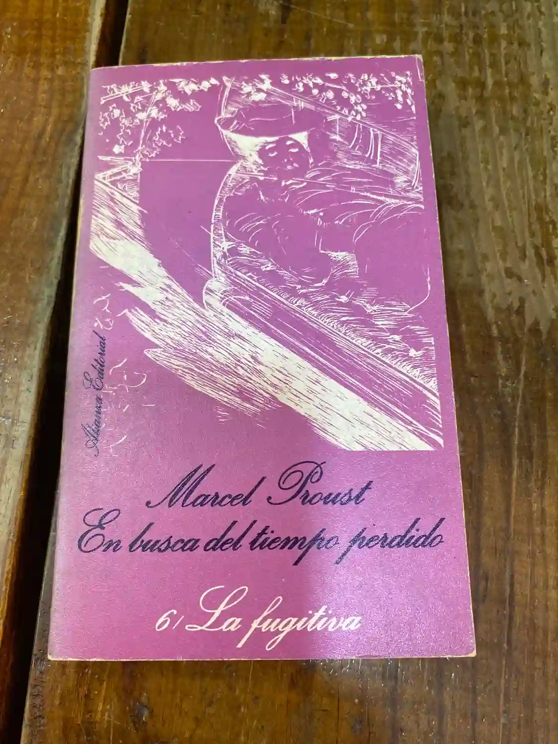 EN BUSCA DEL TIEMPO PERDIDO LA FUGITIVA 6