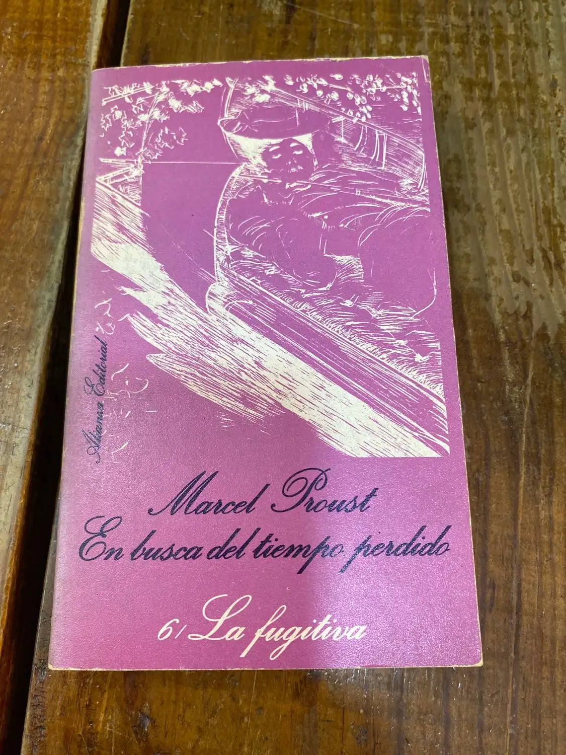 EN BUSCA DEL TIEMPO PERDIDO LA FUGITIVA 6