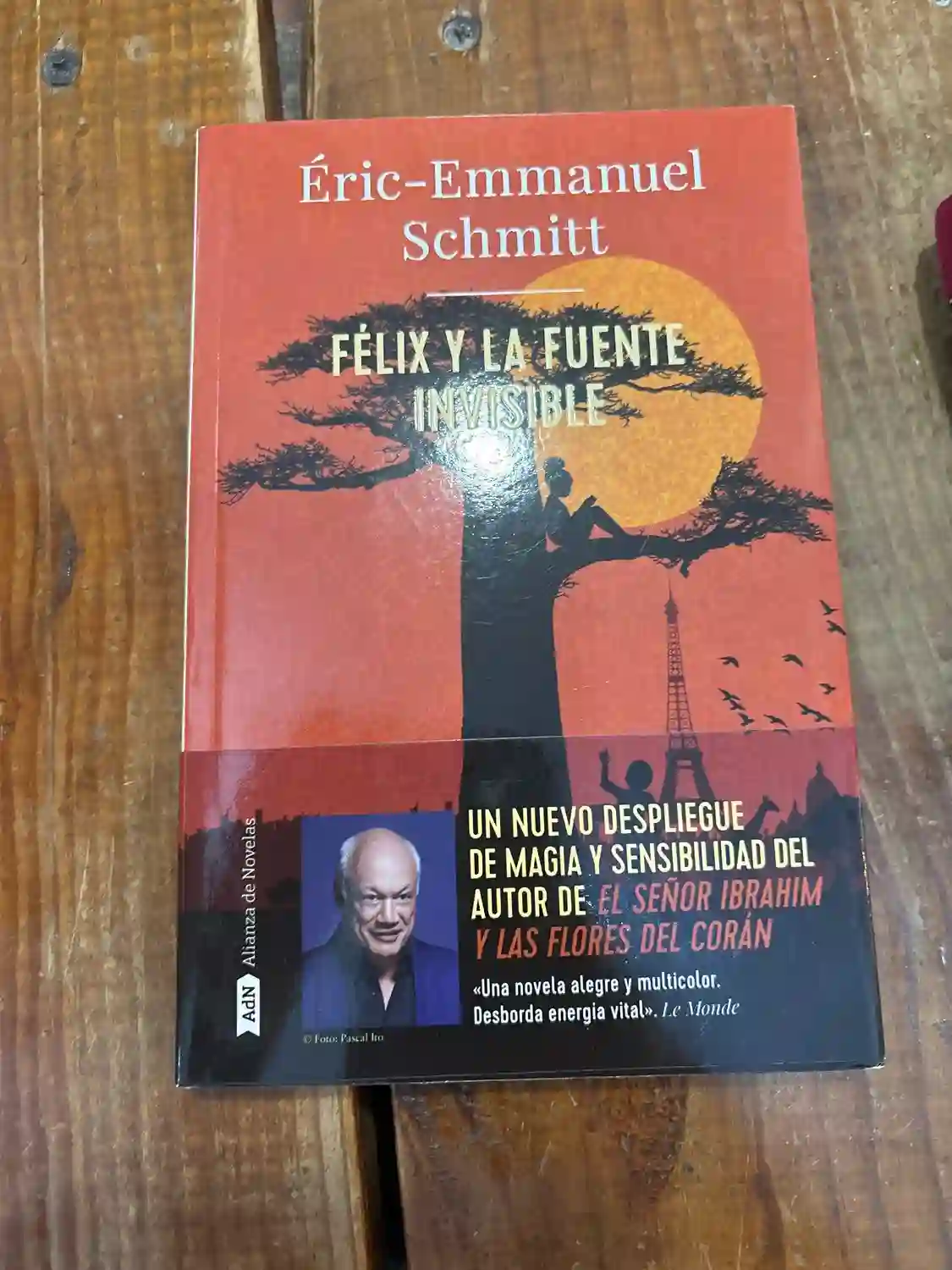 Félix y la fuente invisible (AdN)