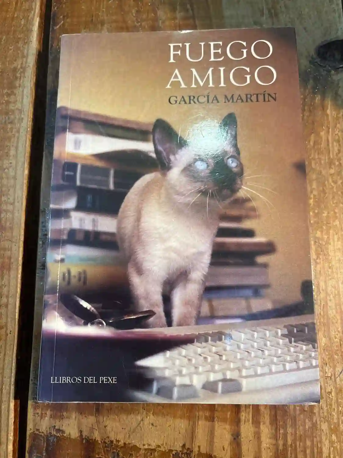 Fuego amigo : diario