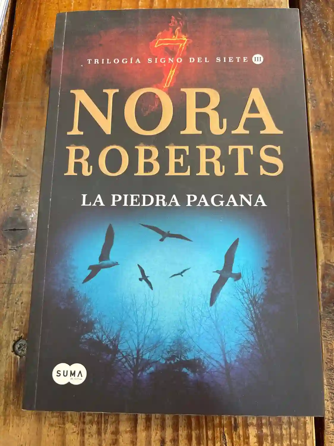 La piedra pagana (Trilogía Signo del Siete 3)