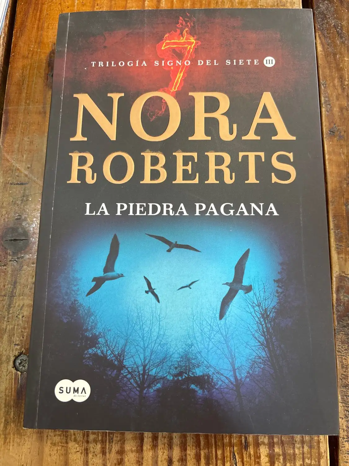 La piedra pagana (Trilogía Signo del Siete 3)