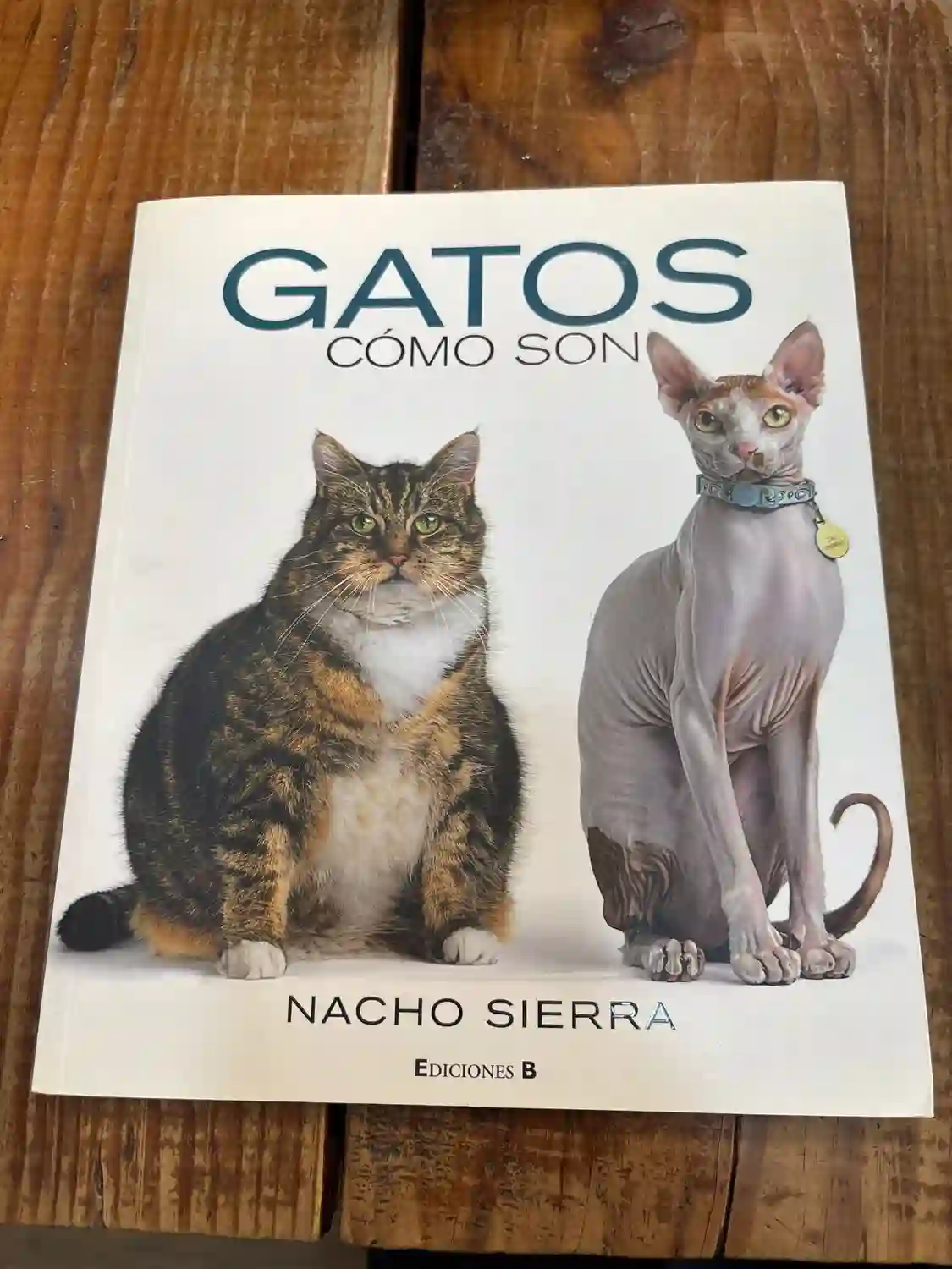 GATOS. COMO SON TRSA