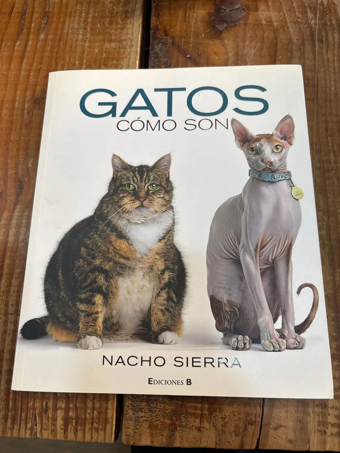 GATOS. COMO SON TRSA