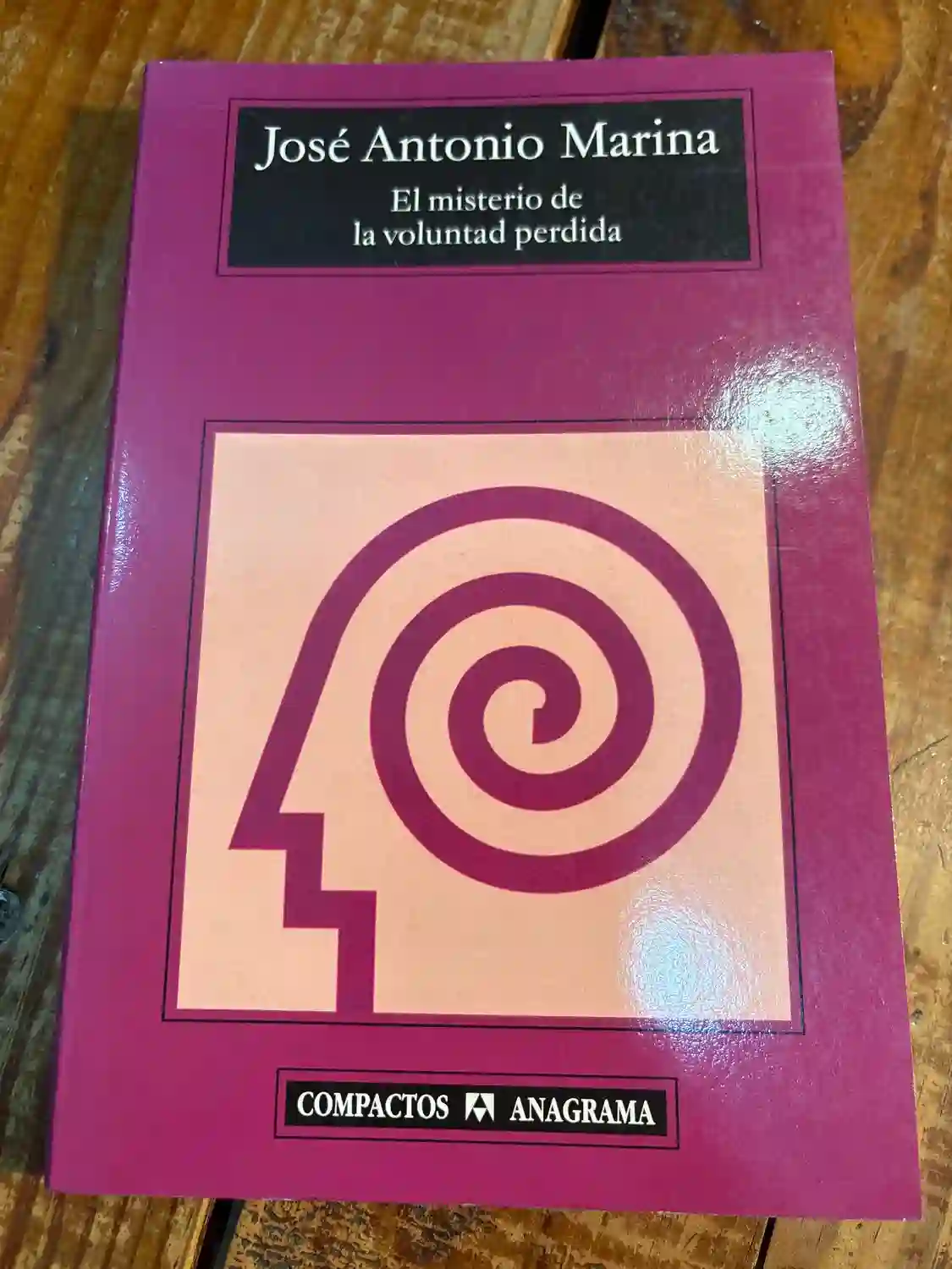 El misterio de la voluntad perdida (Spanish Edition)