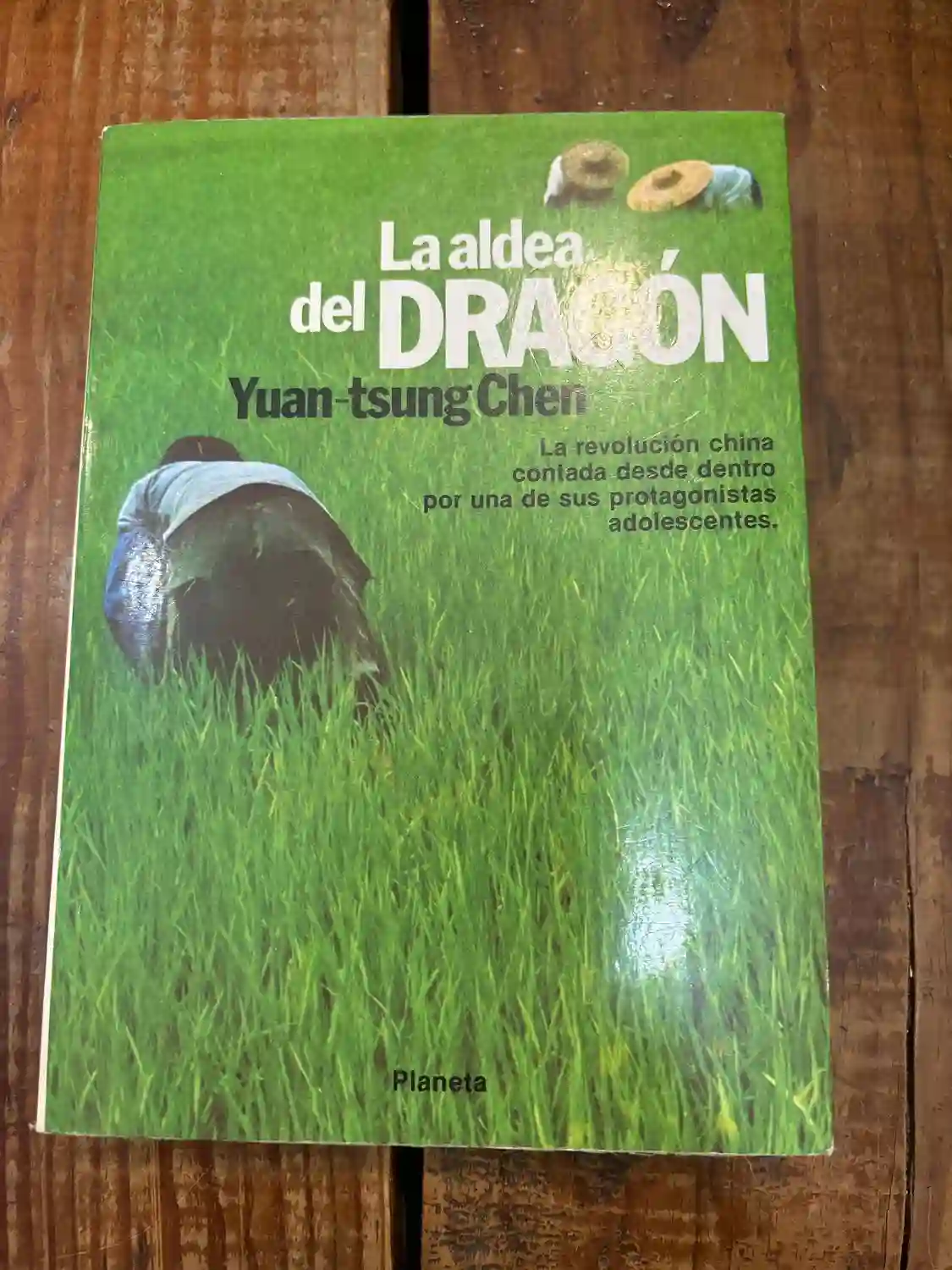 La aldea del dragón: novela autobiográfica de la China revolucionaria