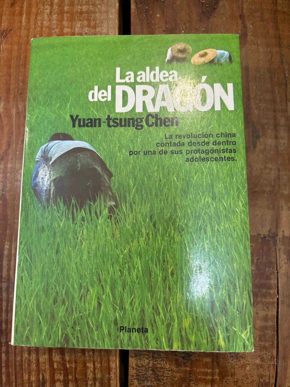 La aldea del dragón: novela autobiográfica de la China revolucionaria