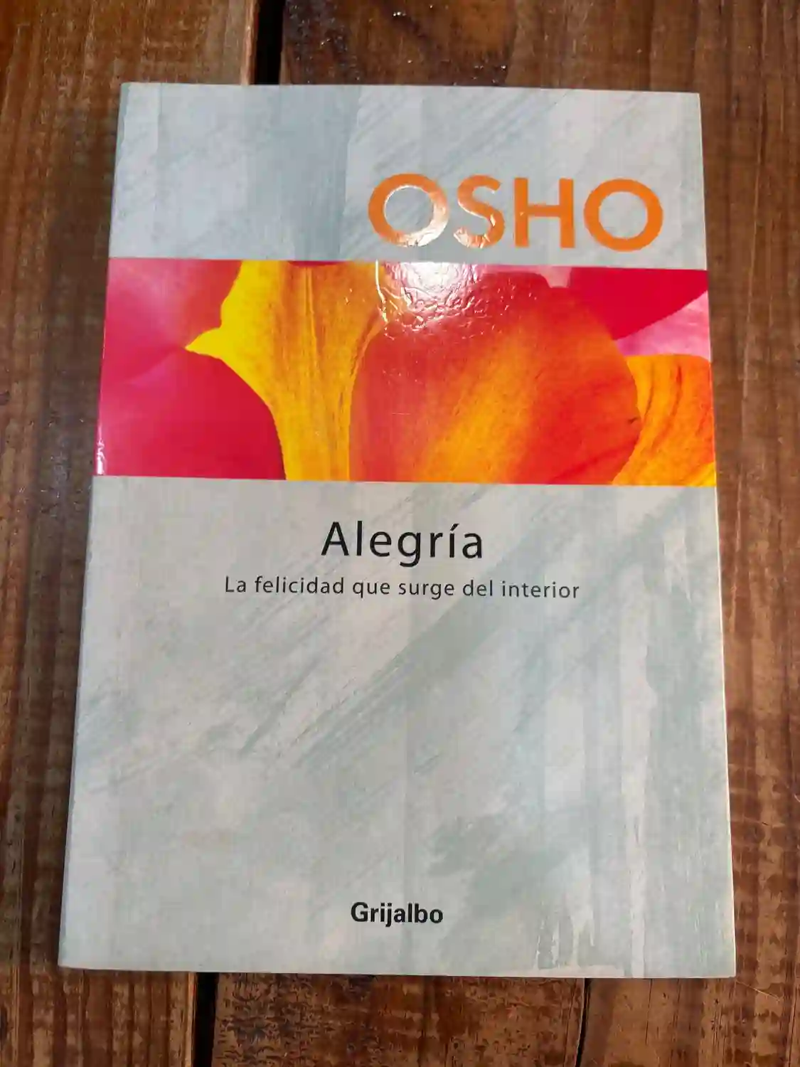 Alegría / Joy: La felicidad que surge del interior / The Happiness That Comes from Within (Spanish Edition)