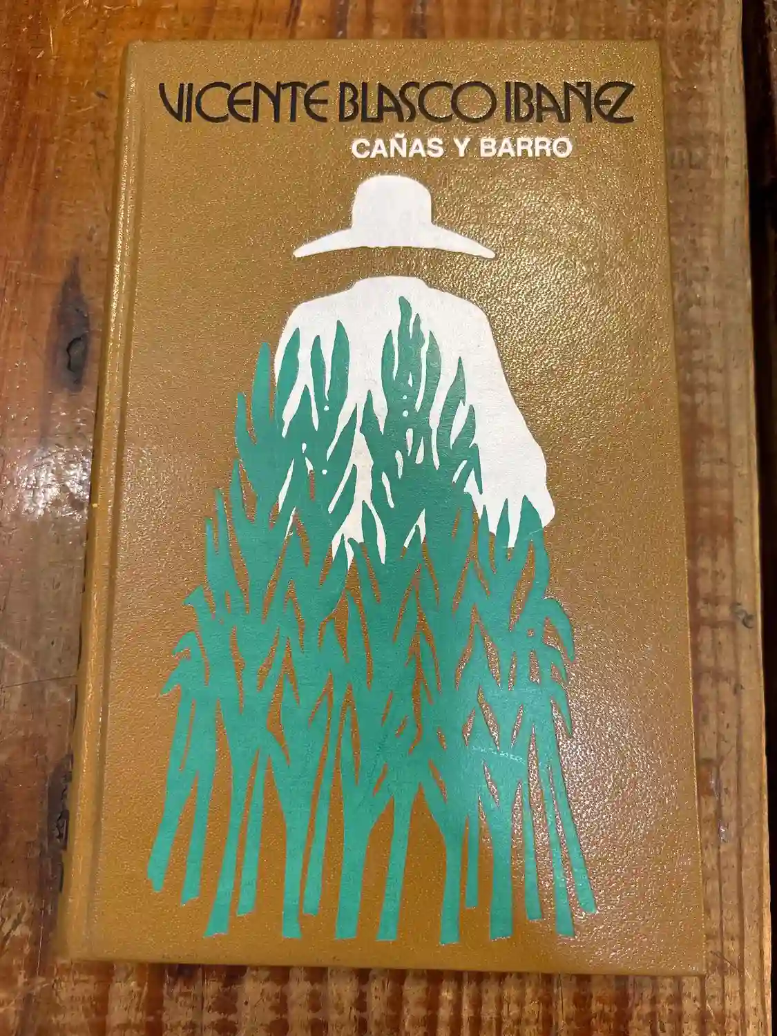 Cañas Y Barro TRS