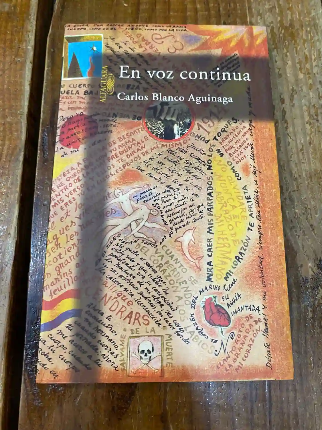 EN VOZ CONTINUA (Spanish Edition)