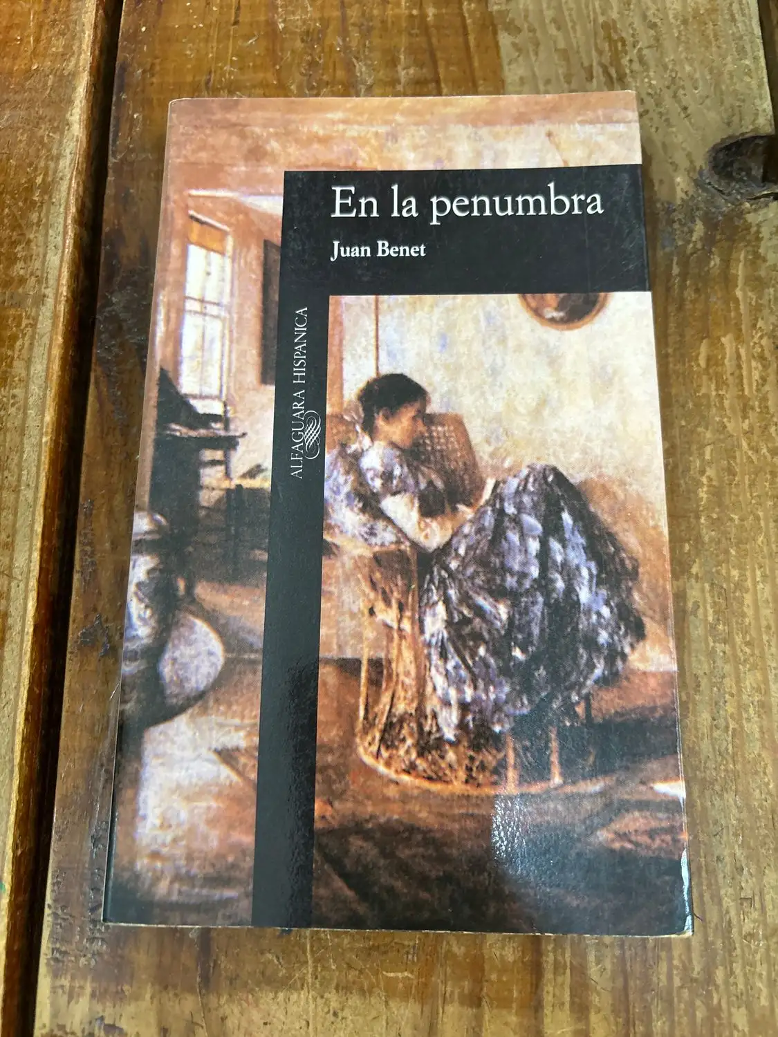 EN LA PENUMBRA ALH052 (Alfaguara Hispanica) (Spanish Edition)