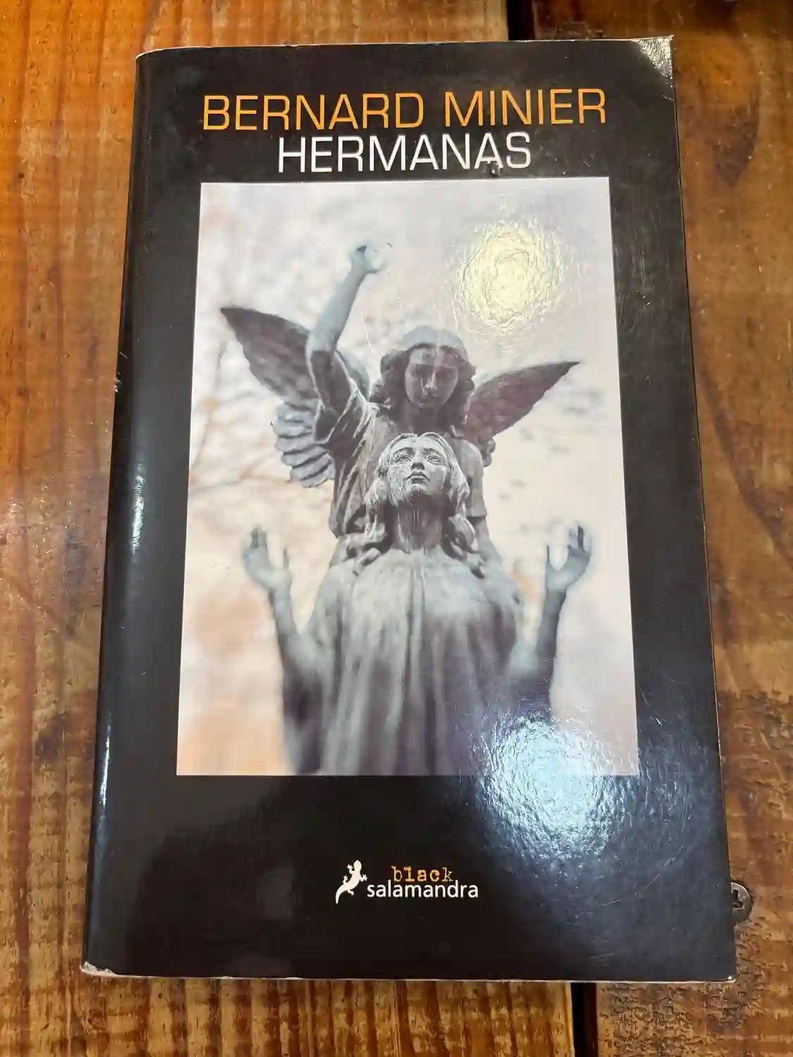 Hermanas (Comandante Servaz 5)