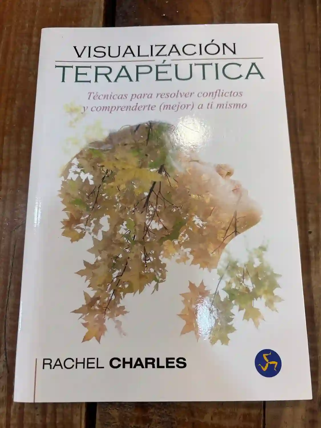 Visualización terapéutica: Técnicas para resolver conflictos y comprenderte (mejor) a ti mismo
