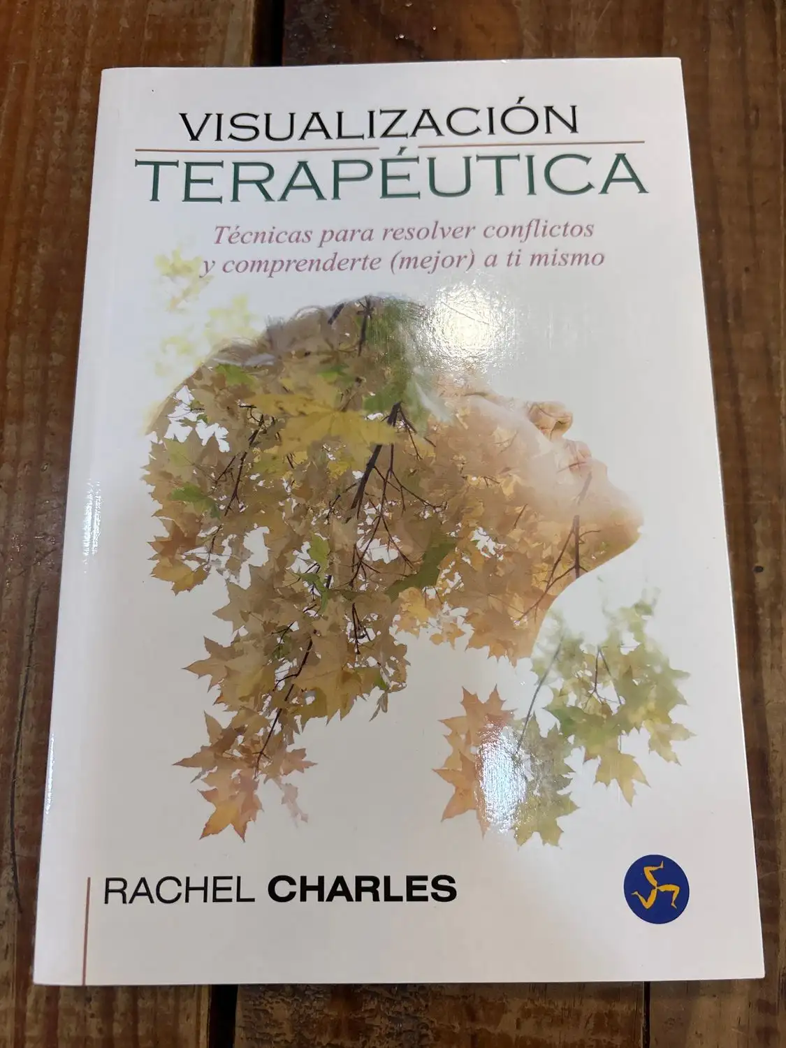 Visualización terapéutica: Técnicas para resolver conflictos y comprenderte (mejor) a ti mismo