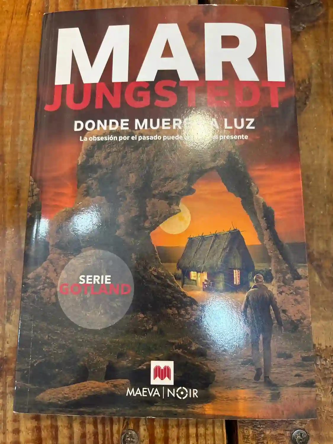 Donde muere la luz (Serie Gotland 16): La obsesión por el pasado puede arruinar el presente