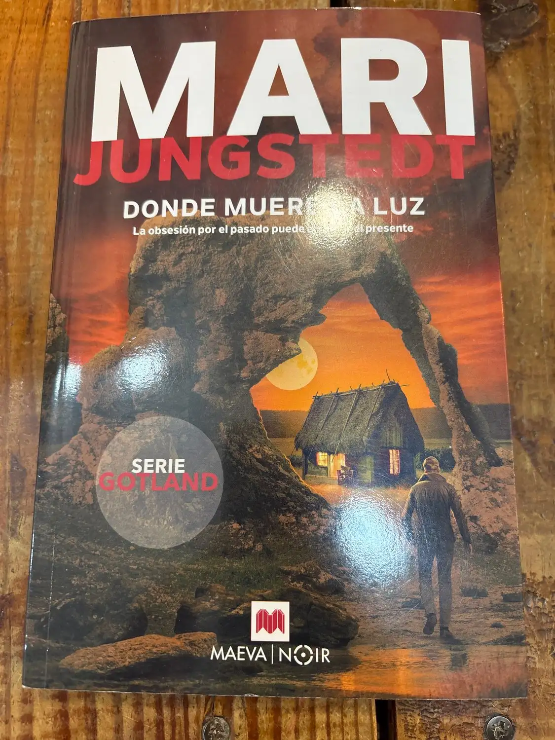 Donde muere la luz (Serie Gotland 16): La obsesión por el pasado puede arruinar el presente