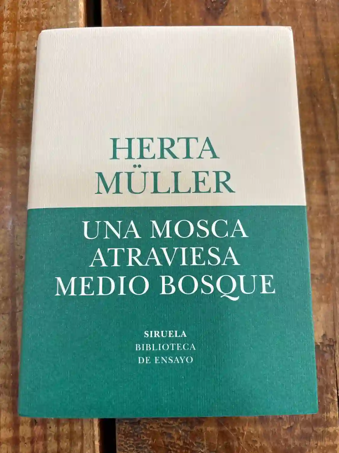 Una mosca atraviesa medio bosque
