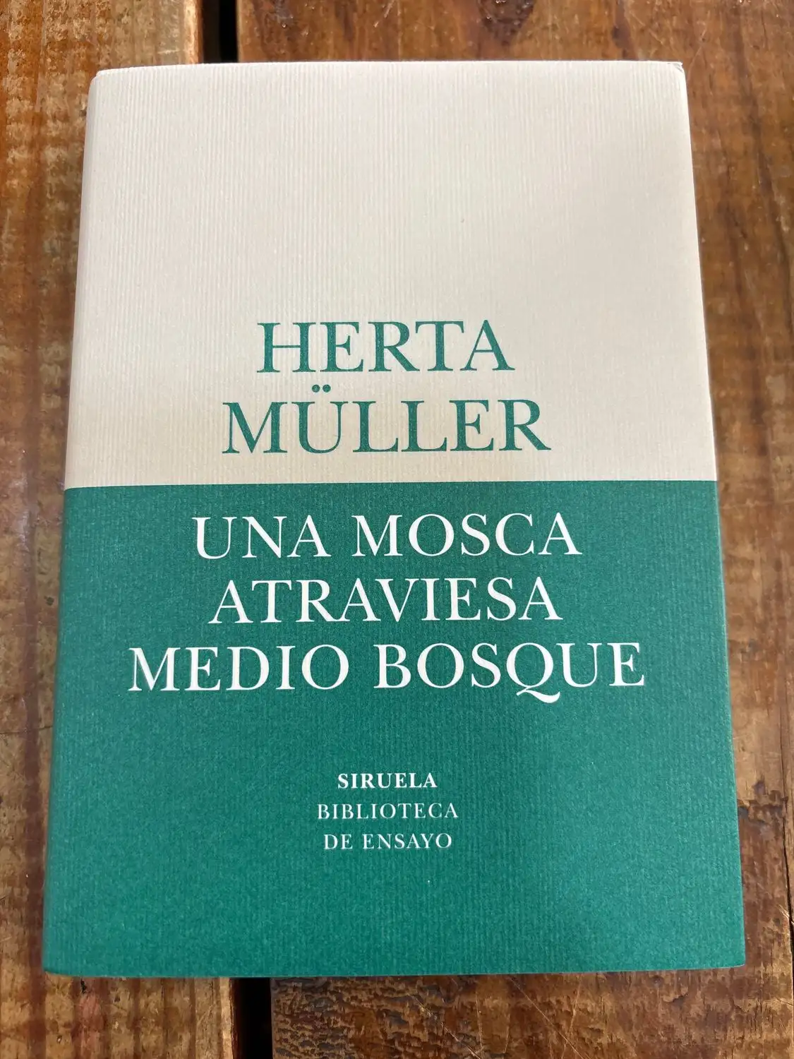 Una mosca atraviesa medio bosque