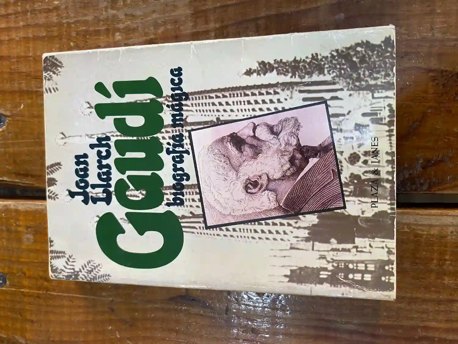 Gaudí, biografía mágica (La Vida es río) (Spanish Edition)