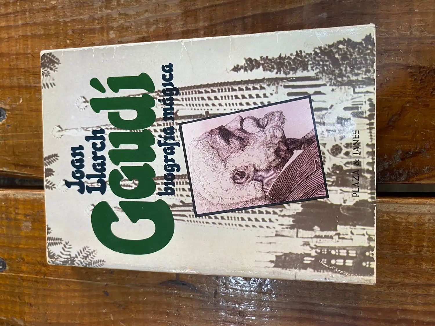 Gaudí, biografía mágica (La Vida es río) (Spanish Edition)